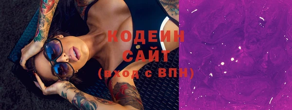 трава Коряжма