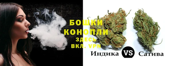 шишки Белоозёрский
