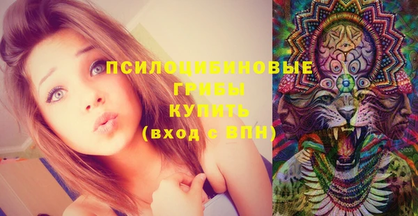 шишки Белоозёрский