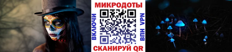 Псилоцибиновые грибы мицелий  где купить наркоту  Котельнич 
